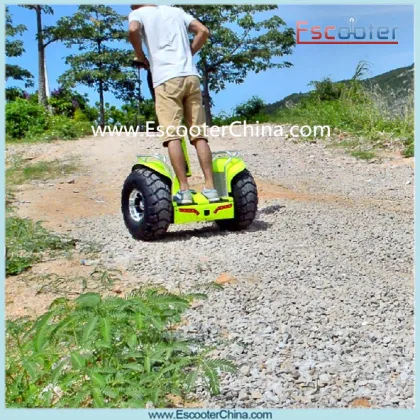 New China Two Wheel Self Balance Electric Skateboard