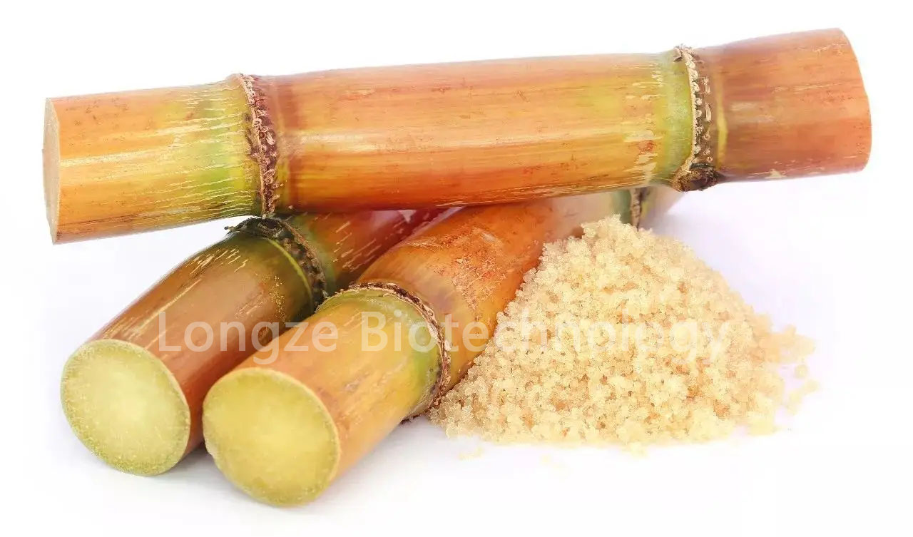 Sugarcane1