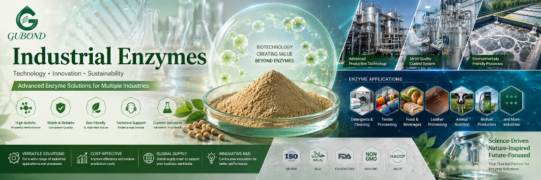 Industrial enzymes