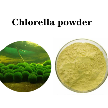 Buy online CAS 1135-24-6 chlorella growth factor powder