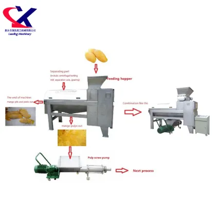 Fruit Processing Industry: Mango Peeler Slicer Machine & Fruit Juice Manufacturing
