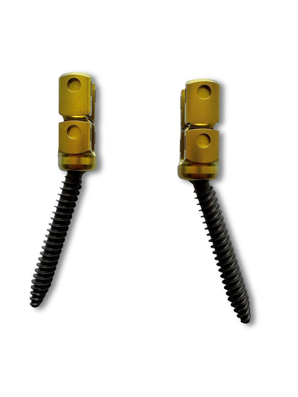 Pedicle Reduction Polyaxial Screw