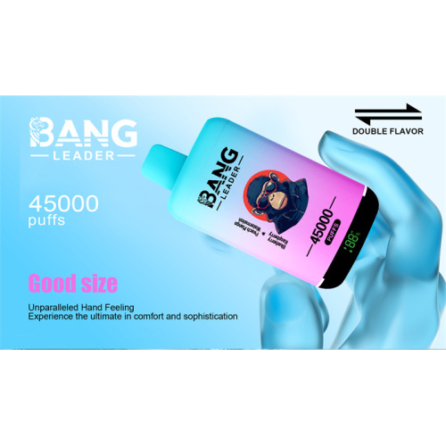 Bang Leader 45K Vape Pen Wholesale Latvia