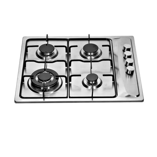 Guangdong Fashionable Stainless Steel Built-in Gas Stove