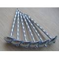 Bester galvanisierter Twist Shank Roofing Nail