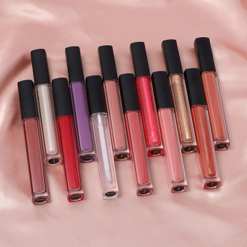 Private Label Custom Logo Lip Gloss Vendors