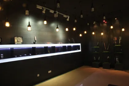 Vero Moda Designated Inspection Work Light (HL-LA0303VM)