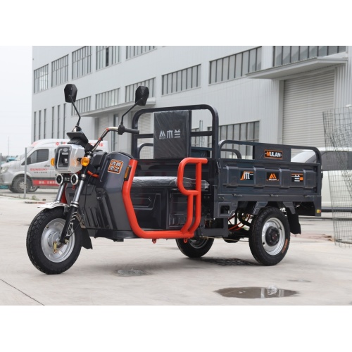 Low Price Electric Tricycle for Big Cargo