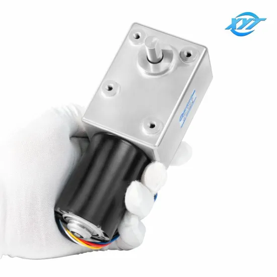 XYT 5882-4260 Brushless Turbine Worm DC Gear Motor - High Torque Low Speed Electric Motor 12v/24v