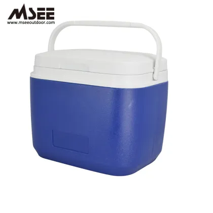 Coolest 5L Insulation Plastic Cooler Box