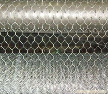 retaining wall hexagonal wire mesh with high quality