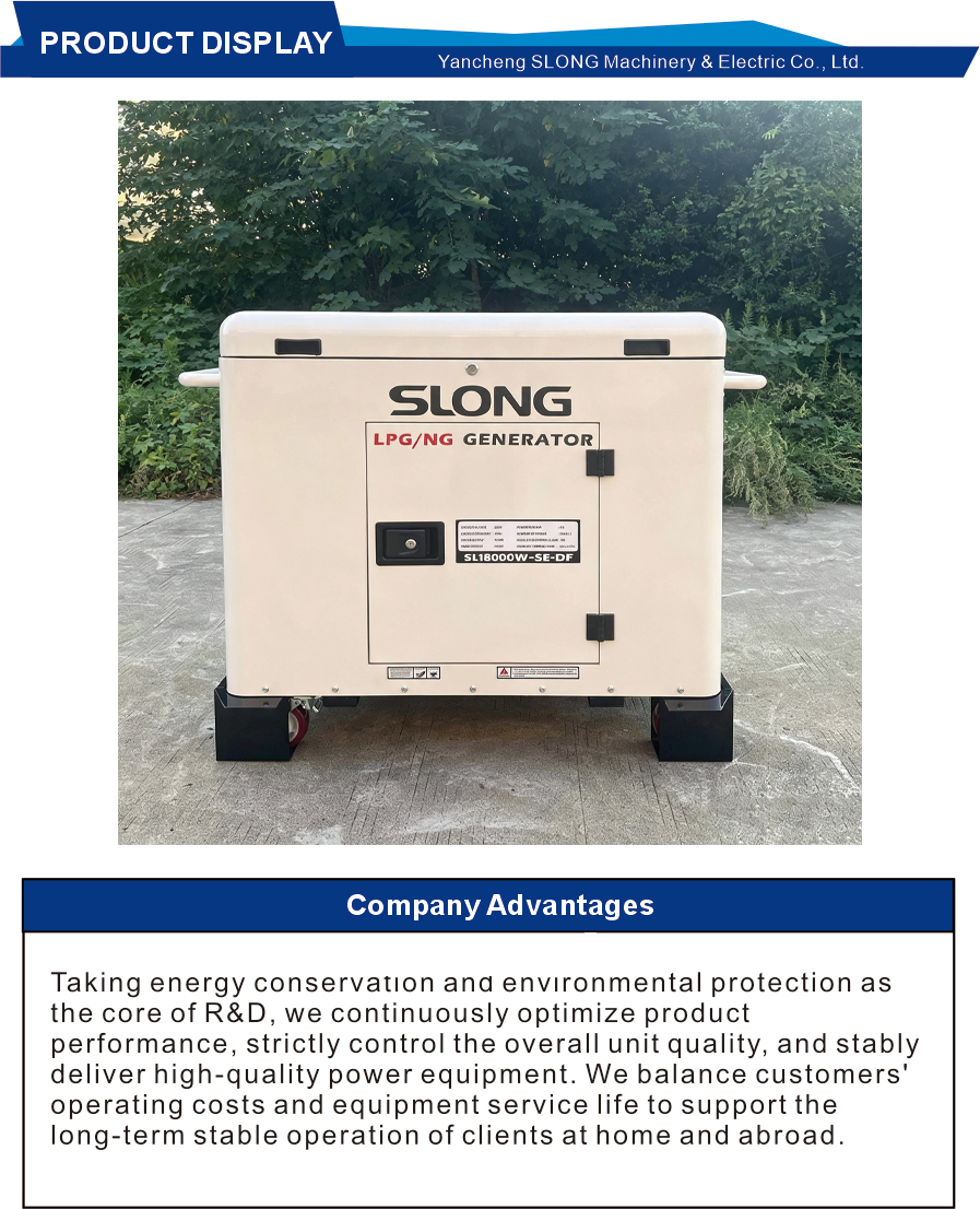 16kW Dual Fuel Silent Standby Generator for Whole House