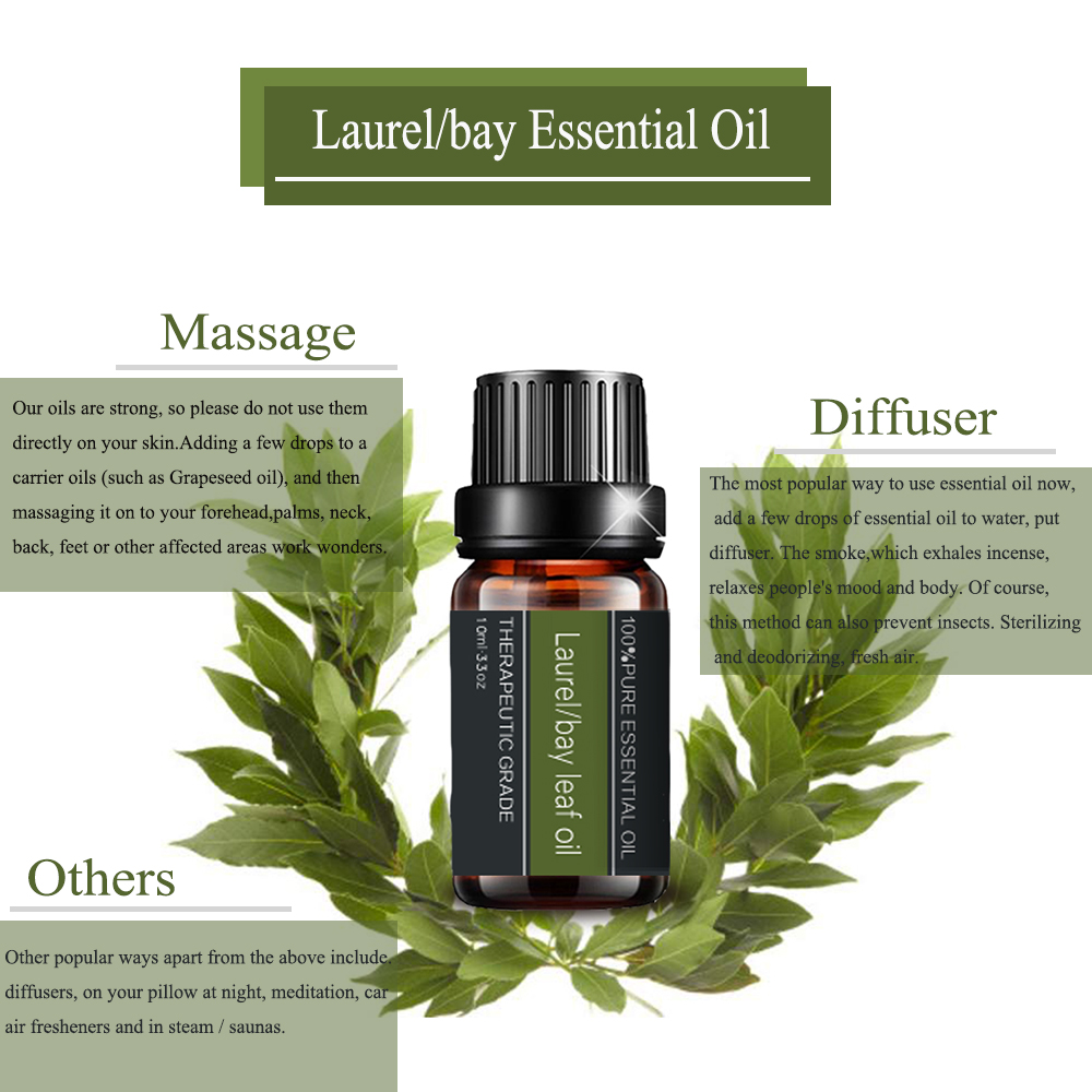 Pure Laurel/Bay Leaf Essential Oil For Cosmetics Massage