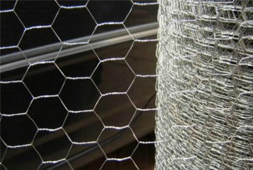 Hexagonal Wire Mesh