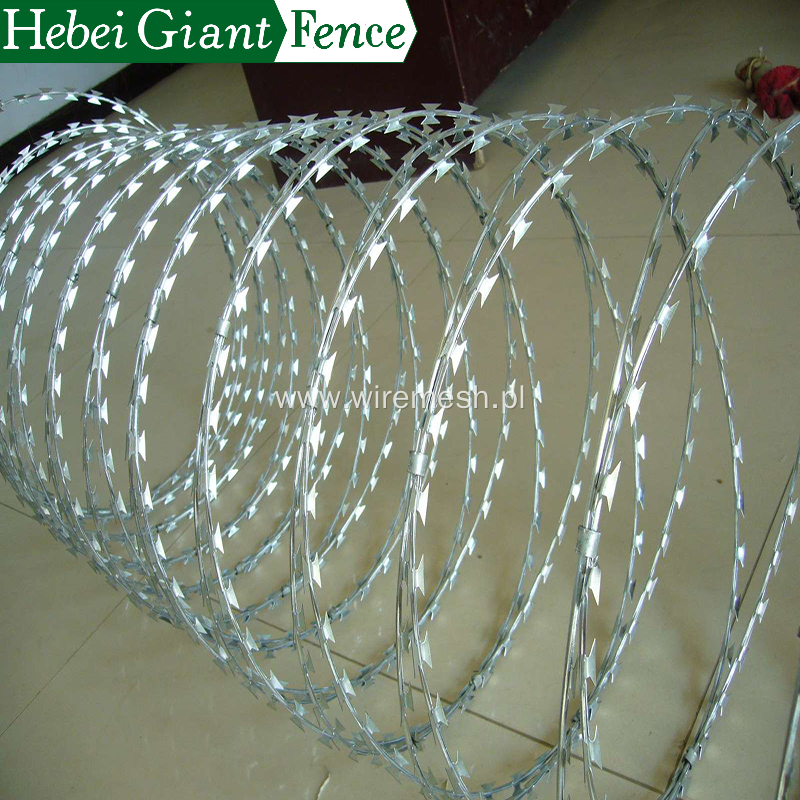 Hot Dipped Security Fencing Razor Barbed Wire Fence