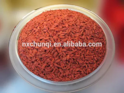 NingXia red fresh goji berries/goji berry with lowest price
