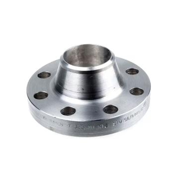 316L 304 Stainless Steel Welding Neck Wn Flange