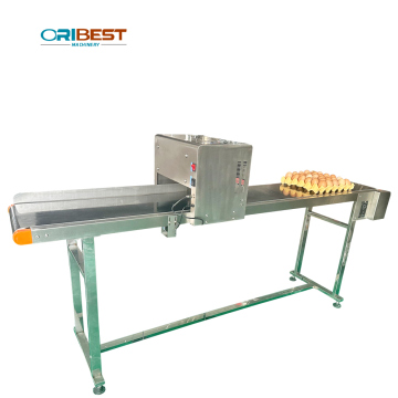 Small Inkjet Printer for Egg Expiry Date and Letter Printing in Food Industry