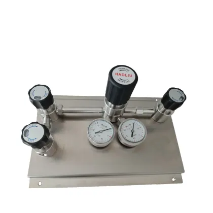 Haoliu Stainless Steel Gas Control Panel Pressure Regulator