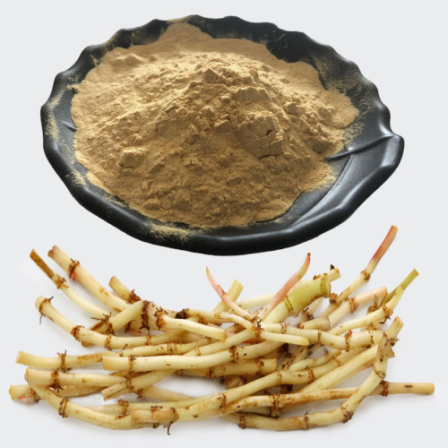 Refreshing Houttuynia Cordata Extract for Herbal Health Drinks