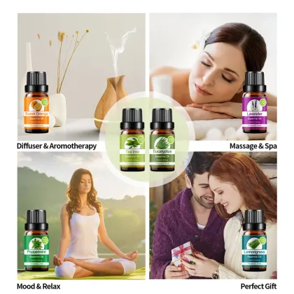 OEM 6pcs Massage Aromatherapy Essential Oils Set - Pure Plant Ingredients