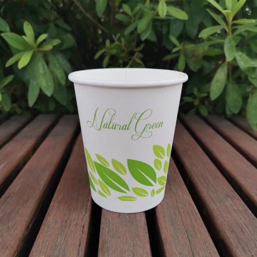 Tasses de papier à thé jetables compostables PLA 8oz