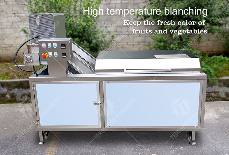 potato blanching machine