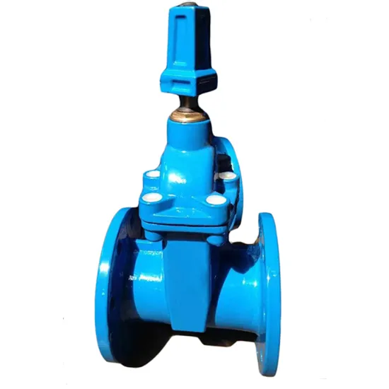 DN80 Ductile Iron Flanged Water gate valve