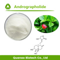 Andrographis Paniculata Extract andRographolide 99% Prijs