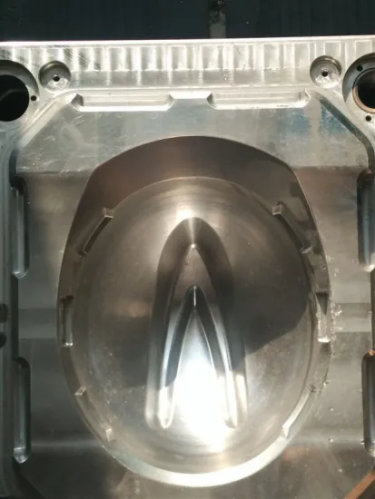 Custom Mountain Bike Bicycle Riding Helmet Mold