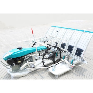 Handpush Rice Planter 6 Rows Walking Paddy Transplanter