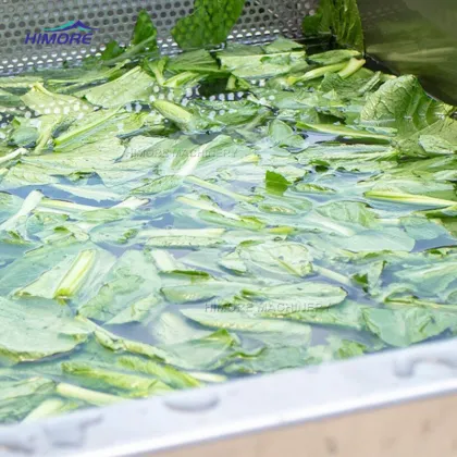 HIMORE Fruit Cleaning Machine Air Bubble Vegetable Washing Machine