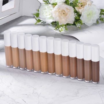 HD -Hautfarbe Corrector Concealer - langlebige feuchtigkeitsspendende Flüssigkeit mit Pinsel