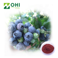 Bubuk ekstrak blueberry Anthocyanosides Anthocyanidin