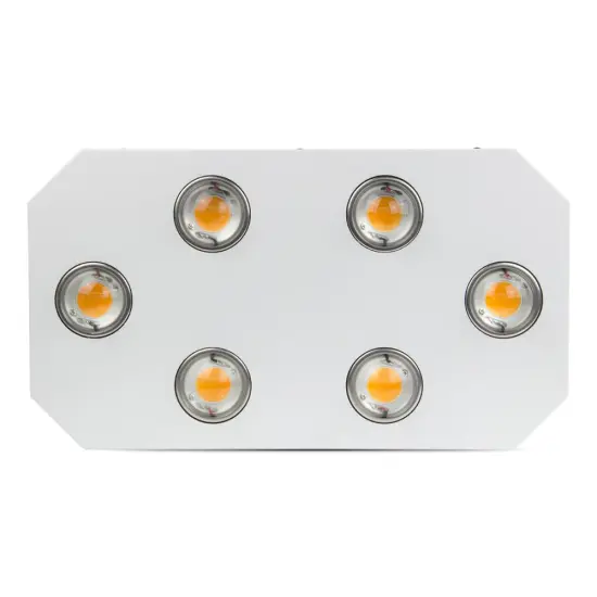 6pcs Citizen cob full spectrum white dual switch led grow light