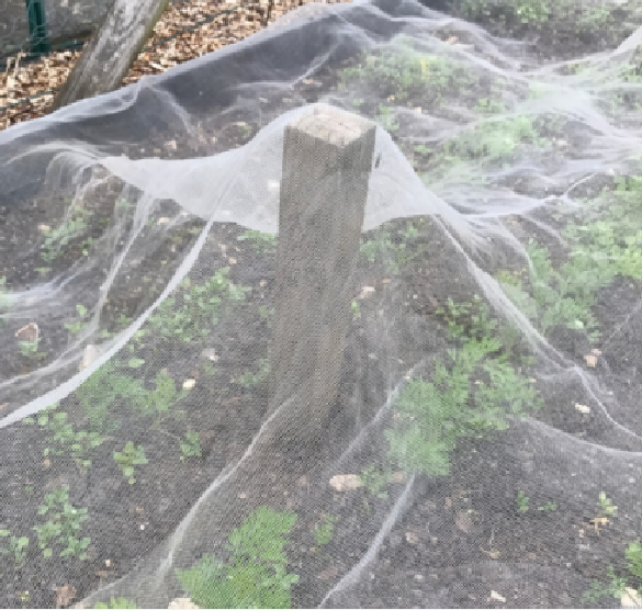 Reti di insetti anti-afidi in plastica agricola