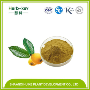 Loquat Extract Extract Ursolic Acid 25%