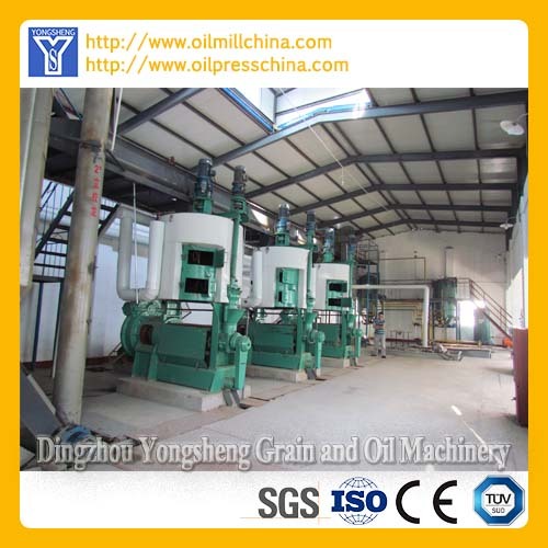 Automatic Sunflower Oil Press Machine