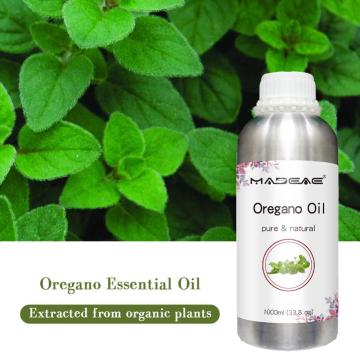 Óleo de orégano natural de orégano 100% Óleo de orébria de orébria de origem de 90% de óleo de orégano de carvacrol