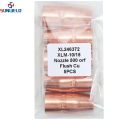 XL246372 XLM-10/15 অগ্রভাগ 500 orf ফ্লাশ কিউ