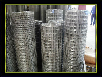 High Strength Aviary wire Mesh