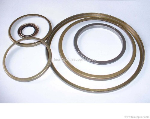 Metal Framework Bearing Seal 