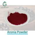 Высушенный распылением порошок аронии для приготовления функциональных пищевых продуктов