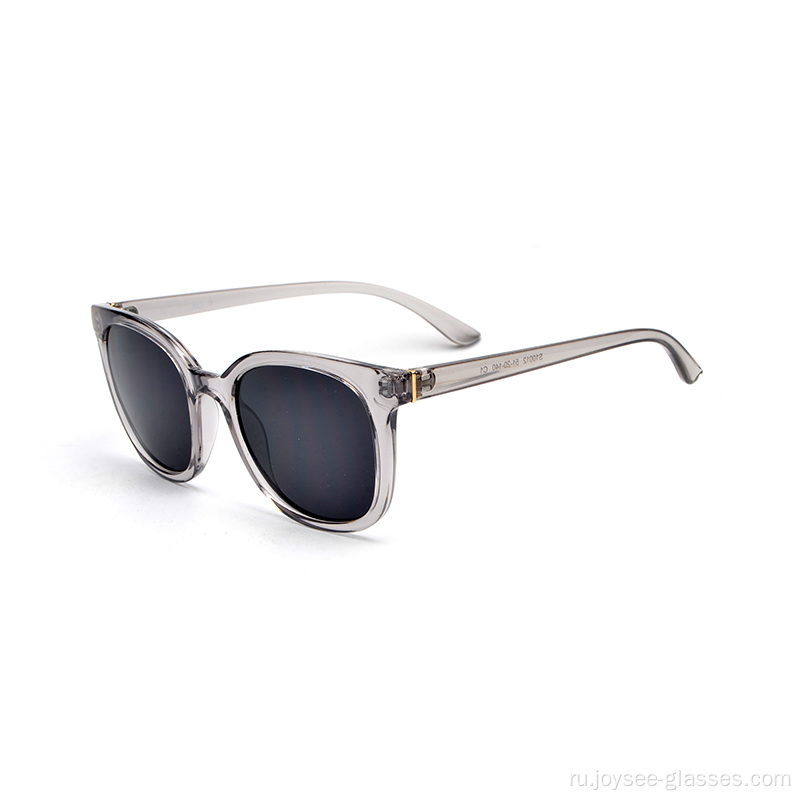 Daily Frame New Arrival Eyes Best Sell Eywear Custom Sunglasses