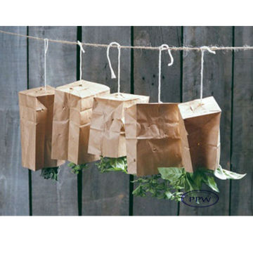 Newest !! Dust Paper Bag Wholesale (High quality)