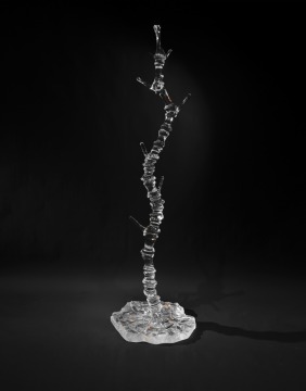Bamboo Node Transparent Crystal Coat Rack
