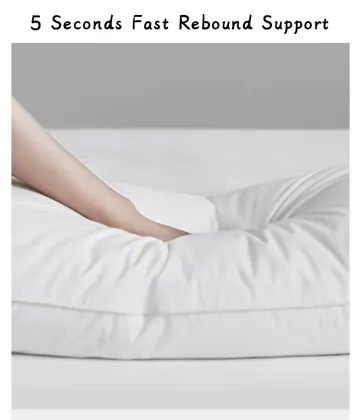 Colorful Breathable Soft Hotel Hilton Pillow