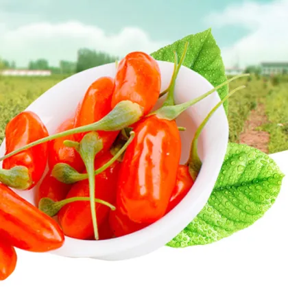 Famous Brand of Goji Berry