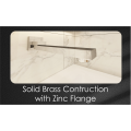 Professional Brass Square Spout