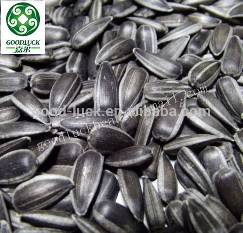 Sunflower Black Seeds For Oil Extraction